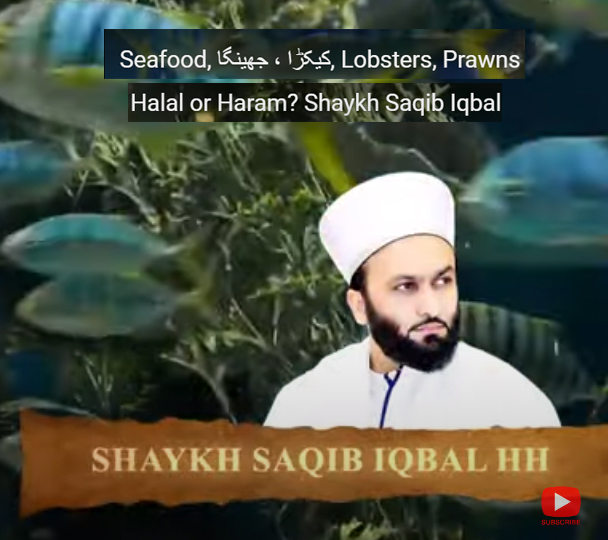 Global Sufi Media Pir Saqib Iqbal Saami